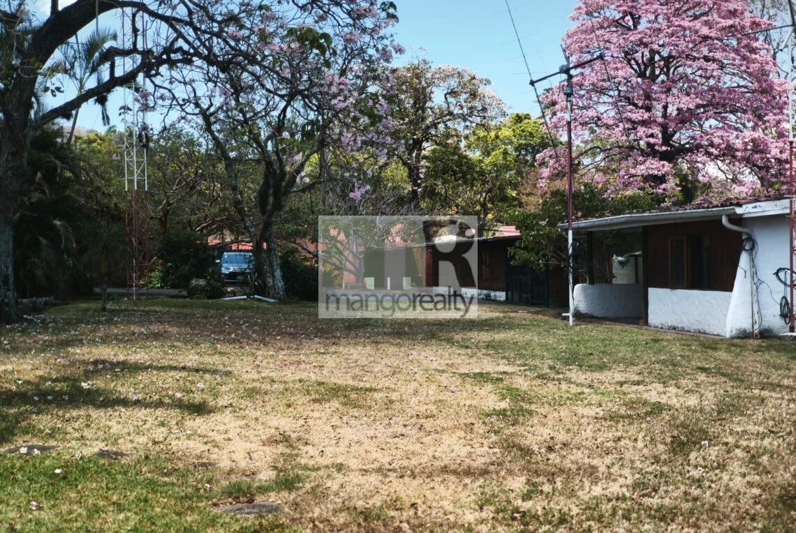 WhatsApp Image 2026-03-17 at 2.37.03 PM