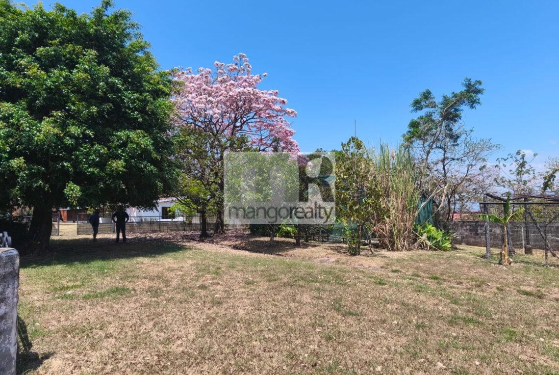 WhatsApp Image 2026-03-17 at 2.37.03 PM (5)