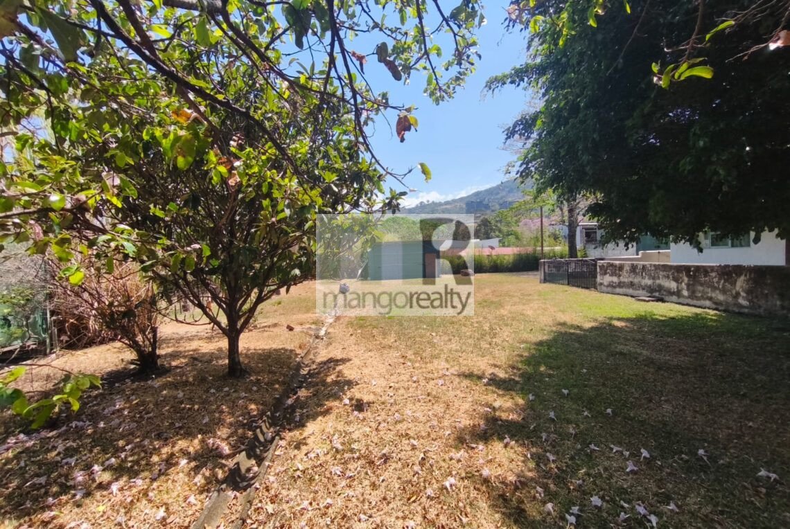 WhatsApp Image 2026-03-17 at 2.37.04 PM (1)